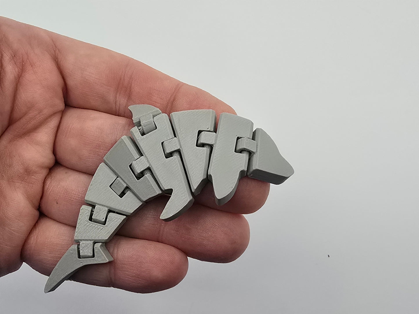 Flexi Dolphin Fidget Toy