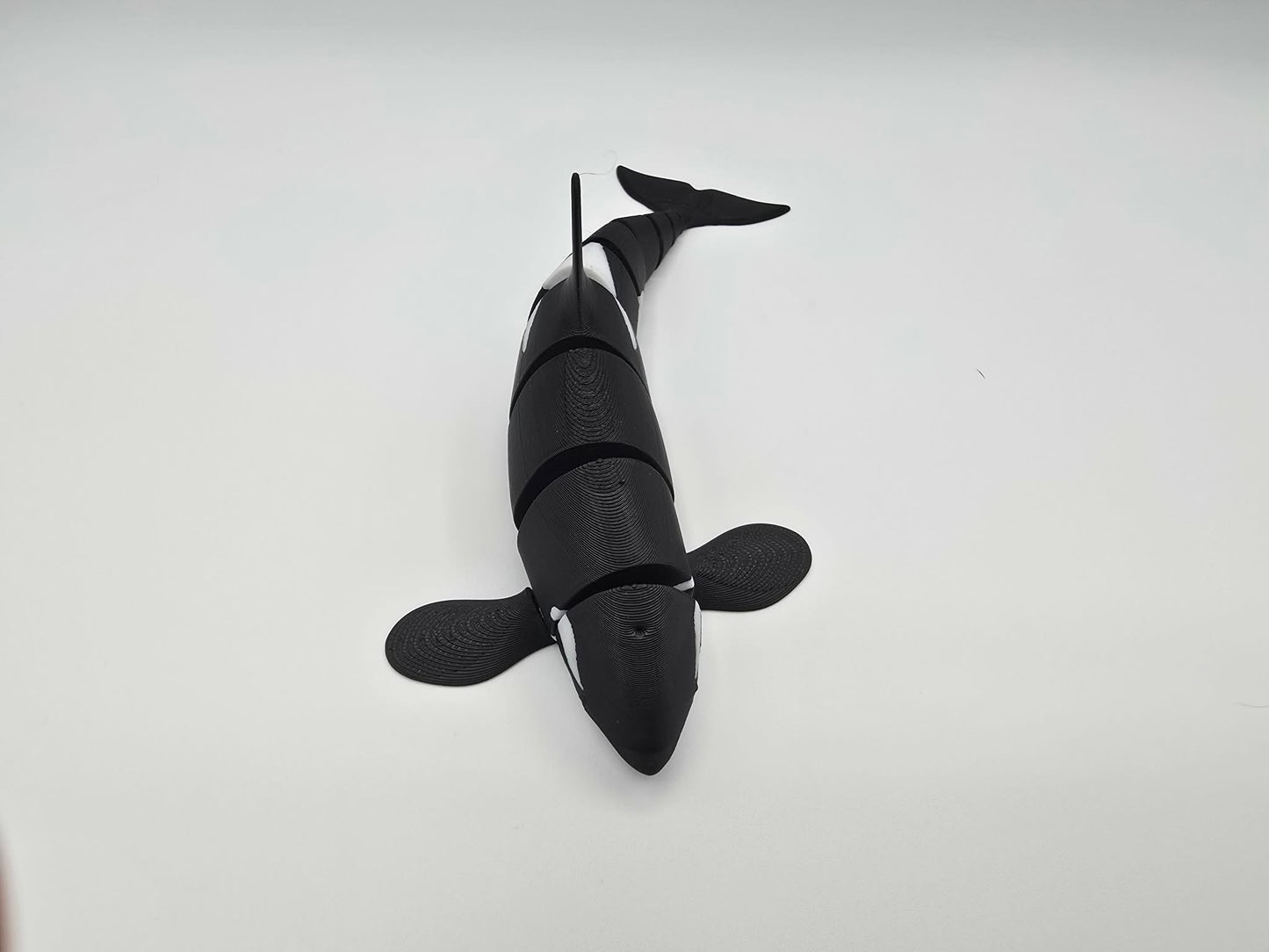 3D Printed Articulated Orca – Flexible Ocean Desk Toy – Black & White