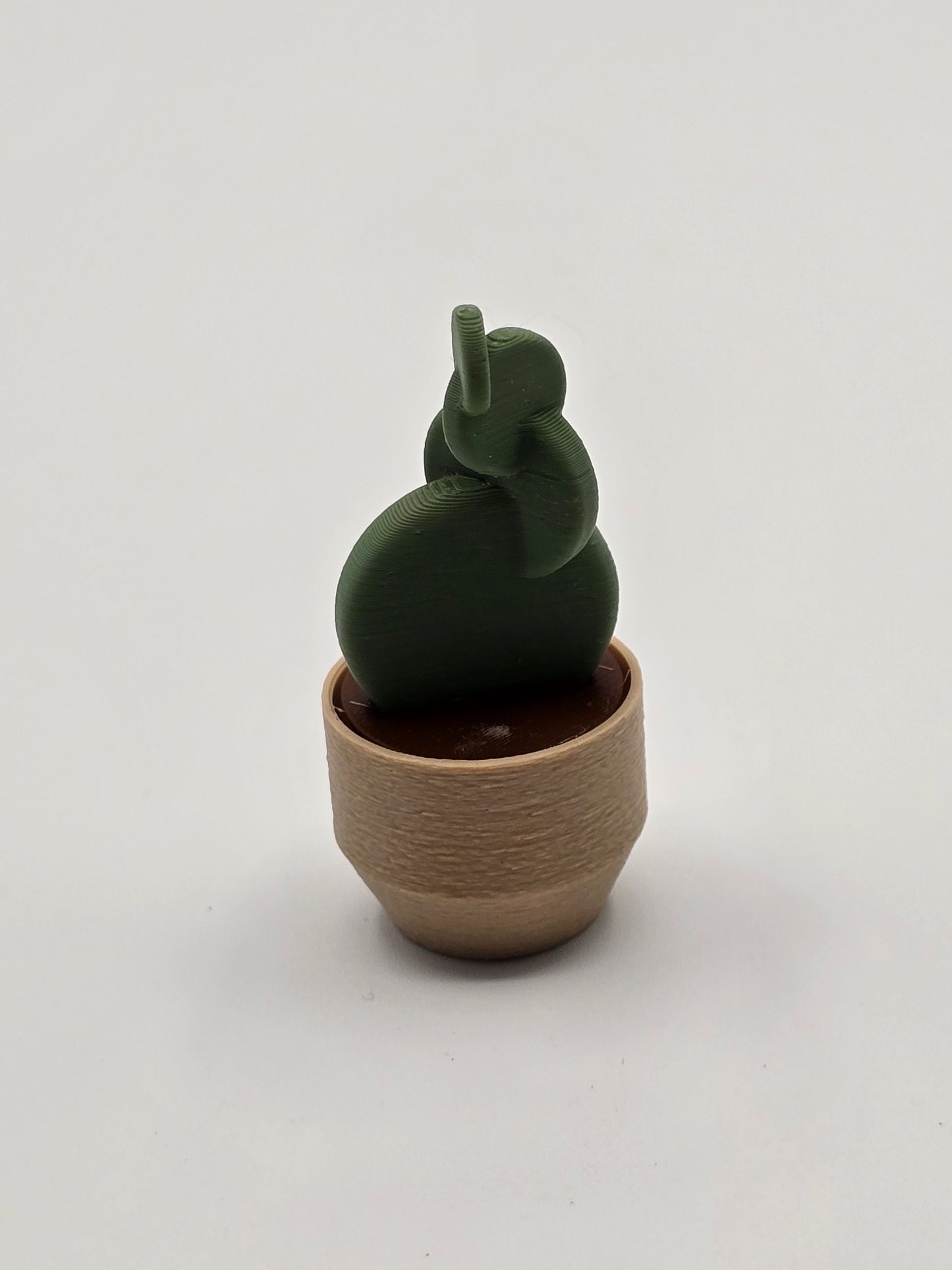 Spiral Cactus Clicker