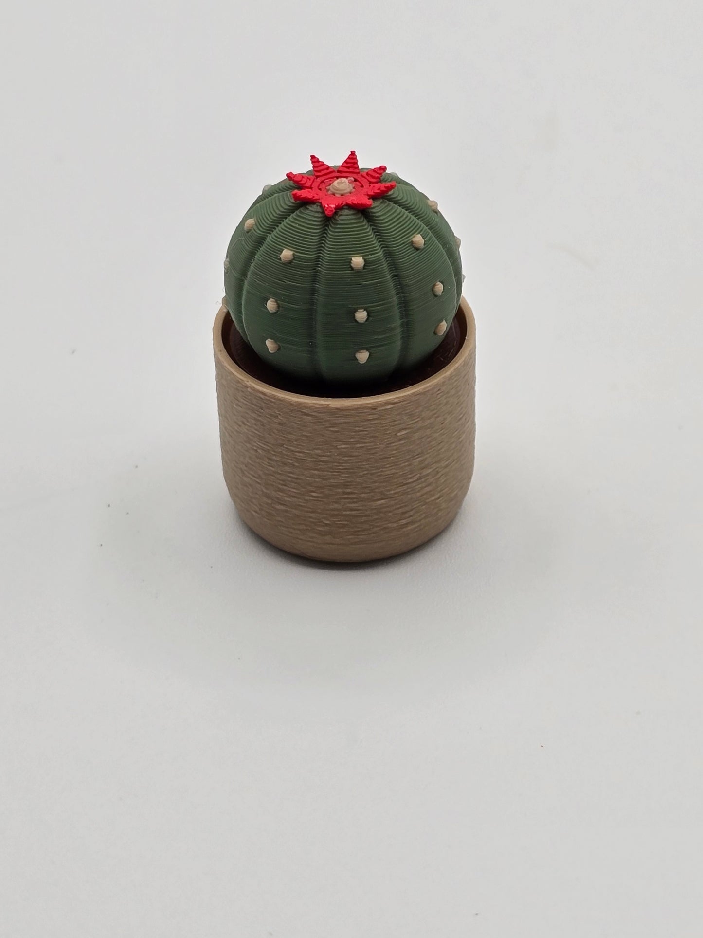 Moon Cactus Clicker