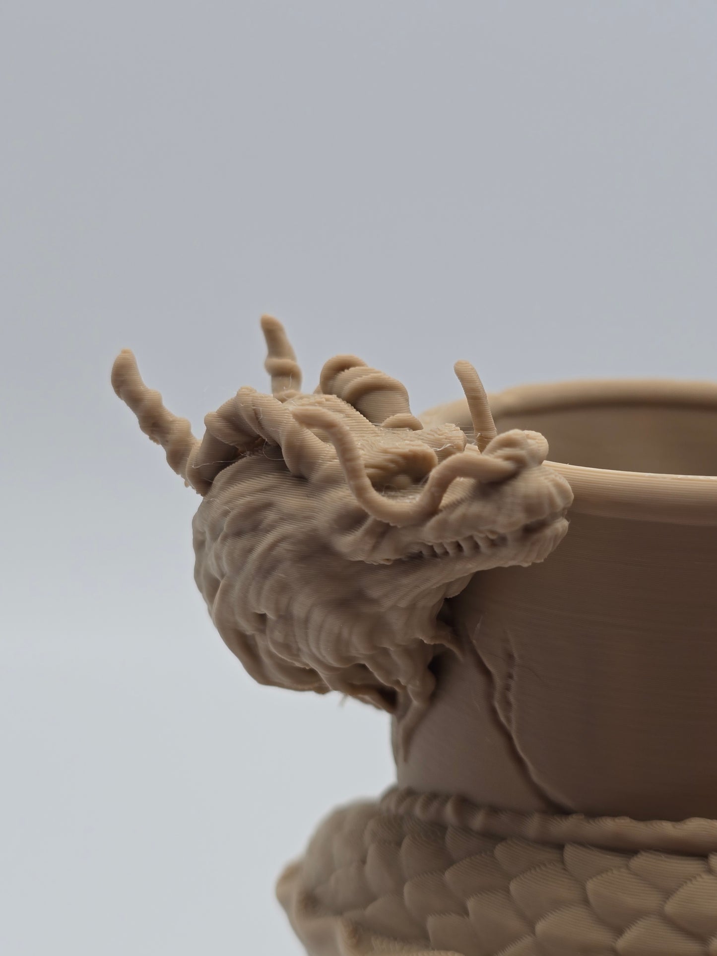 Dragon Coil Vase – Fantasy 3D Printed Decor