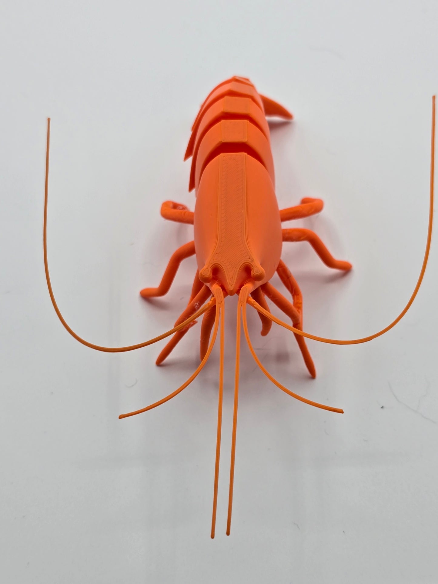 Flexible Articulated Shrimp Figure – Posable Desk & Shelf Decor