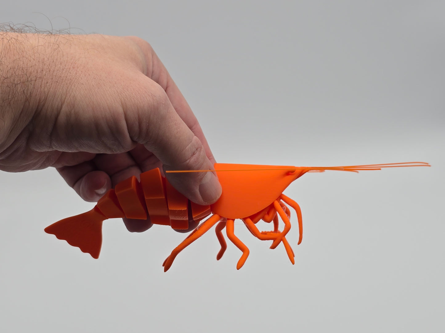 Flexible Articulated Shrimp Figure – Posable Desk & Shelf Decor